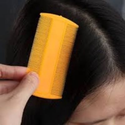 Picture of Indian Dual Sided Hair Comb for Fashion or Anti Lice Hair Comb - 1 Piece