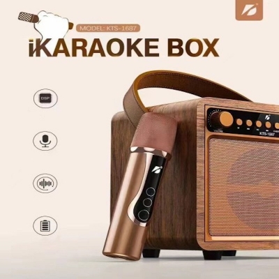 Picture of KTS 1687 Bluetooth Karaoke Box with Handle and free Wireless Mic