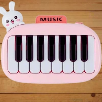 Picture of Baby Piano with Lights and Sounds Educational Musical Toy beast price in bd
