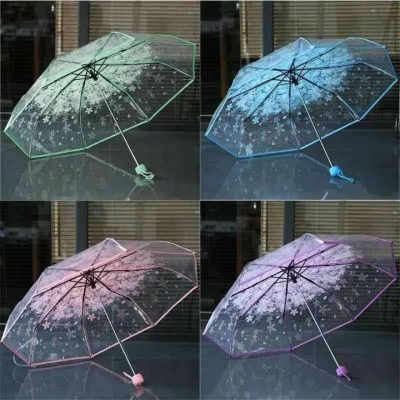 Picture of Transperent Umbrella