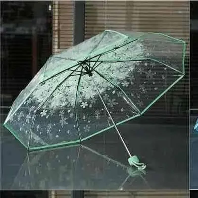 Picture of Transperent Umbrella