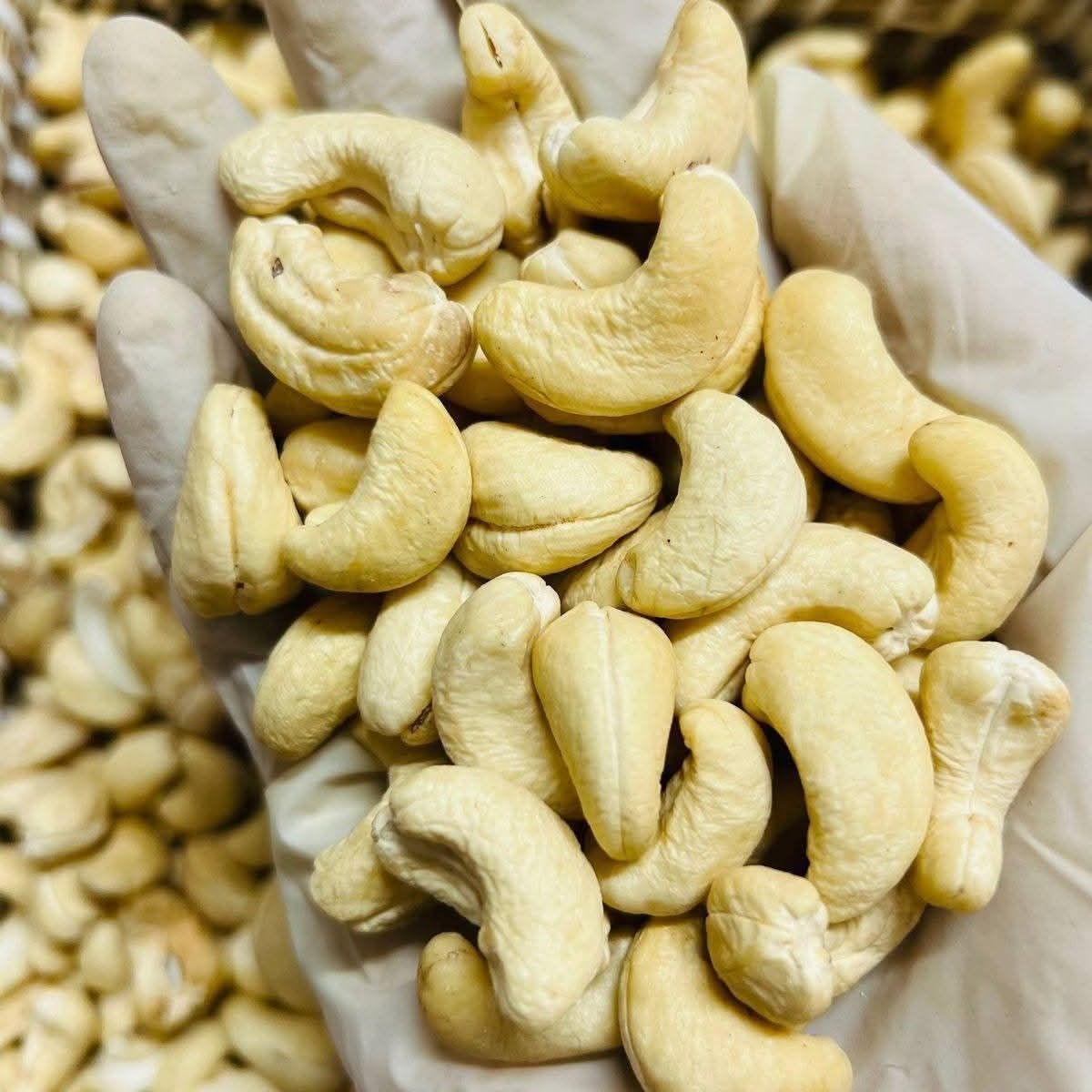 Picture of Cashew Nut II Kajubadam II কাজুবাদাম