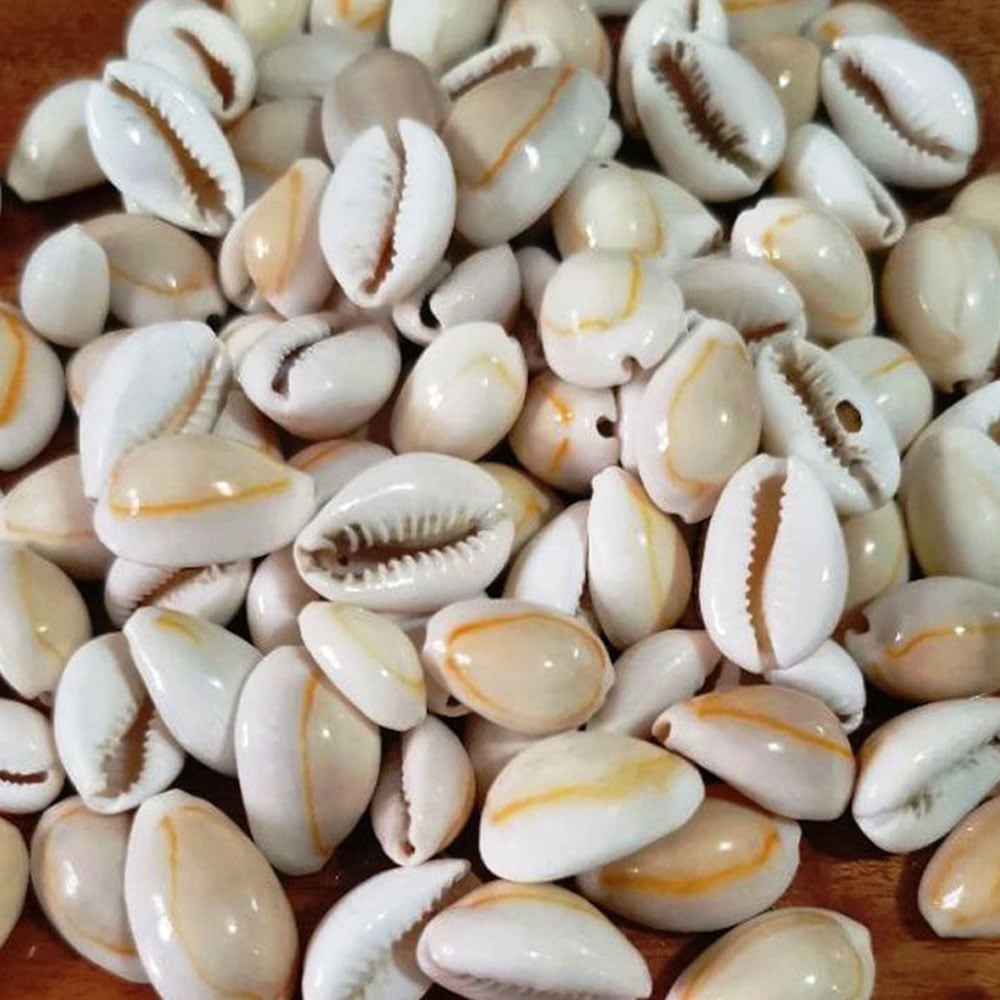 Picture of Nature Sea Shell Beads Jewelry Accessories Beach Seashell Bracelet Necklace Earrings For Home Aquarium Decoration Off White 