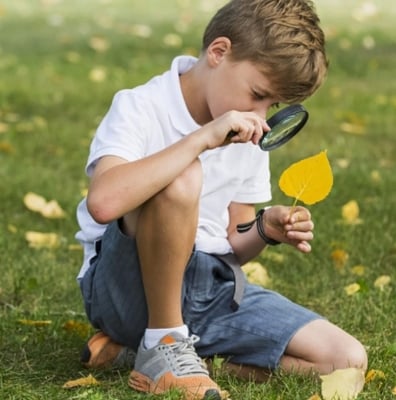 Picture of Magnifying Glass Lens Real Glass Magnifying Glass Breakage-Proof Magnifying Glass 75MM Black 