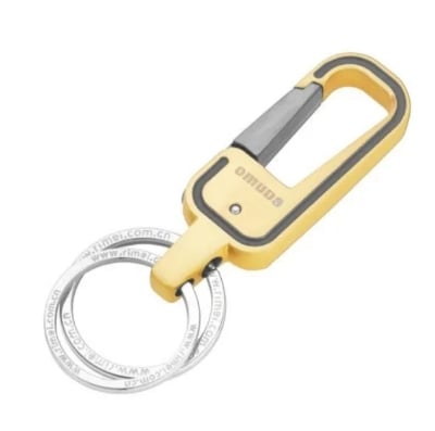 Picture of Antique Hook Locking Silver Metal Key Ring Key Chain for Gift Boys Girls & Friends Multicolor 