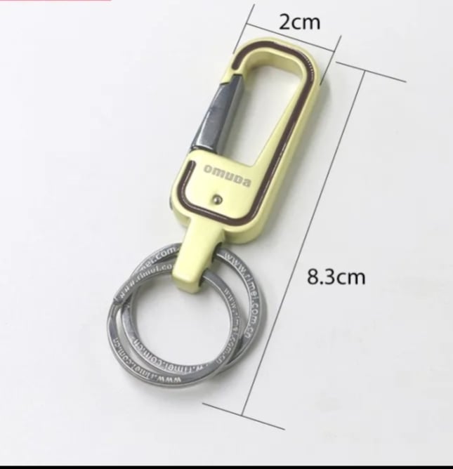 Picture of Antique Hook Locking Silver Metal Key Ring Key Chain for Gift Boys Girls & Friends Multicolor 