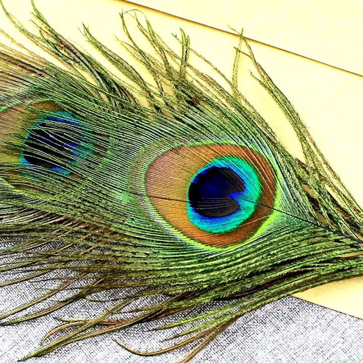 Picture of Peacock Feather Quill Ballpoint Pen 1 Pack Wedding Gifts Stationery School Office Black 