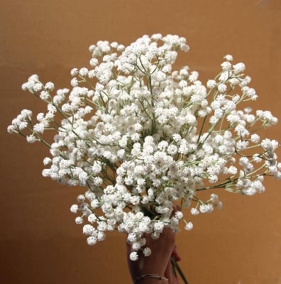 Picture of Artificial Plastic Flowers Bouquet White Gypsophila DIY Home Wedding Balcony Babysbreath Outdoor Decoration Flower white 