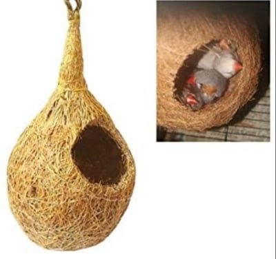 Picture of Handmade organic bird nest -1 PCS Babui Pakhir Basha Bird Nest Showpiece Home office decore - Furniture & Decor - Unrivaled in Genre- Delights  