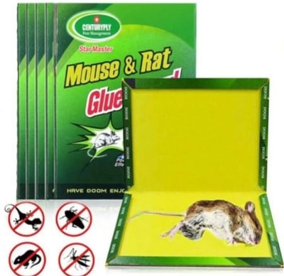 Picture of Mouse & Rat Glue Traps 3 Pack Heavy adhesive Mouse Glue Traps China Green 