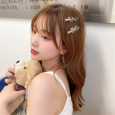 Picture of 1 Pair Fashionable Hair Clip For Women