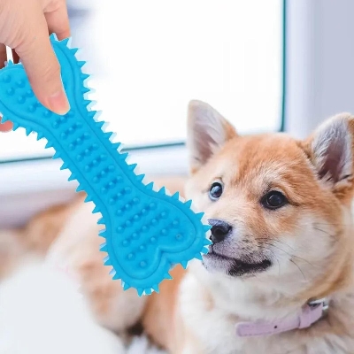 Picture of Dog Toy Dog Artificial Bone with Thorn Bone Rubber Molar Teeth Pet Toy Dog bite Resistant Molar Training