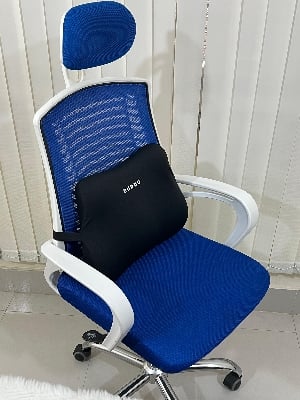 Picture of China Orthopedic Memory Foam Lumbar Pillow Back Support Cushion for Long Sitting Hours