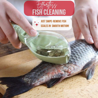 Picture of Fish Cleaning Pillar Scaler Scraper Kitchen Cooking Tool - NR Mart-2024 - Multicolor
