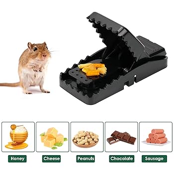 Picture of Edur marar fad/Mouse Trap Mouse Traps Indoor Mouse Traps for House Mouse Traps Outdoor Mice Traps for House Indoor - NR Mart-2024 - multicolor