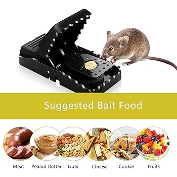 Picture of Edur marar fad/Mouse Trap Mouse Traps Indoor Mouse Traps for House Mouse Traps Outdoor Mice Traps for House Indoor - NR Mart-2024 - multicolor