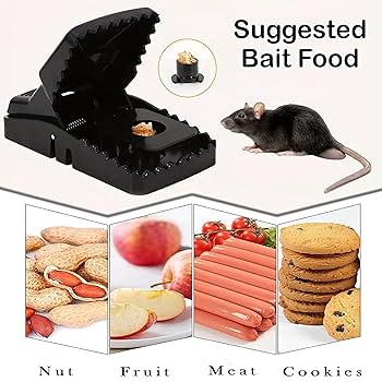 Picture of Edur marar fad/Mouse Trap Mouse Traps Indoor Mouse Traps for House Mouse Traps Outdoor Mice Traps for House Indoor - NR Mart-2024 - multicolor