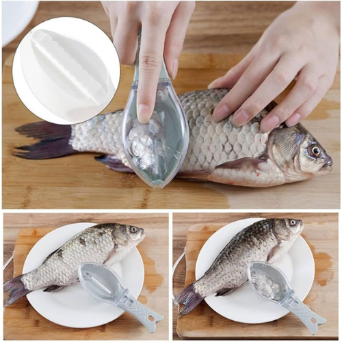 Picture of Fish Cleaning Pillar Scaler Scraper Kitchen Cooking Tool - NR Mart-2024 - Multicolor