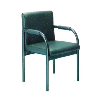 Picture of Low Back Executive Chair (Visitor Chair) (Green)