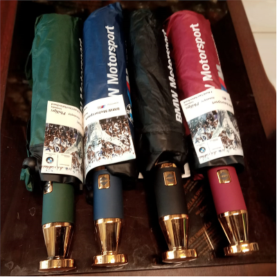 Picture of BMW Windproof 12 Sticks Auto Open and Close Umbrella
