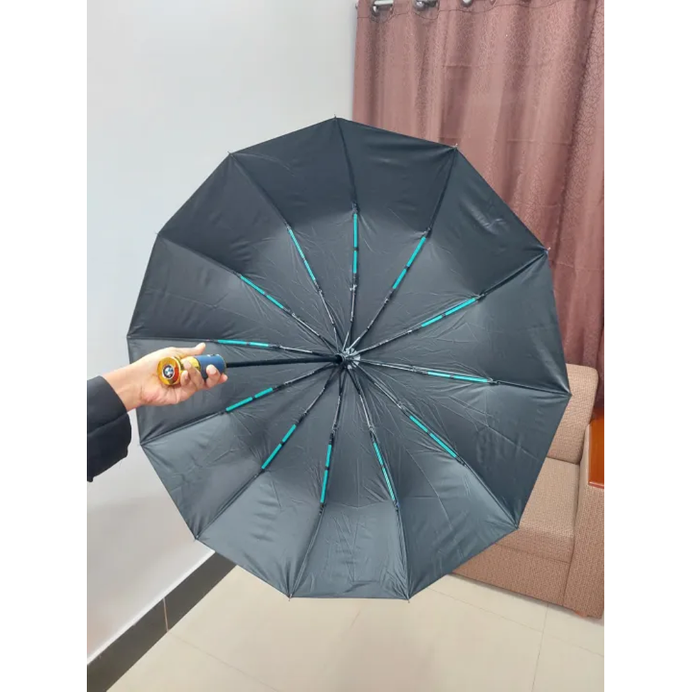 Picture of BMW Windproof 12 Sticks Auto Open and Close Umbrella