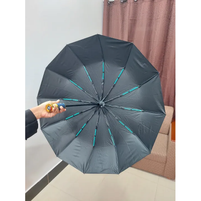 Picture of BMW Windproof 12 Sticks Auto Open and Close Umbrella
