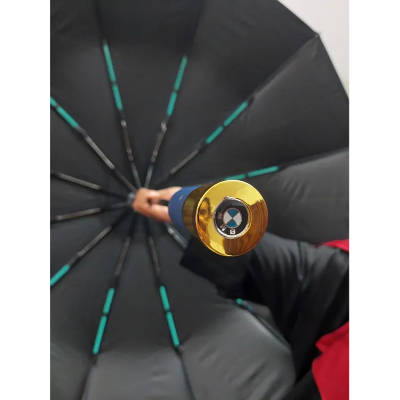 Picture of BMW Windproof 12 Sticks Auto Open and Close Umbrella