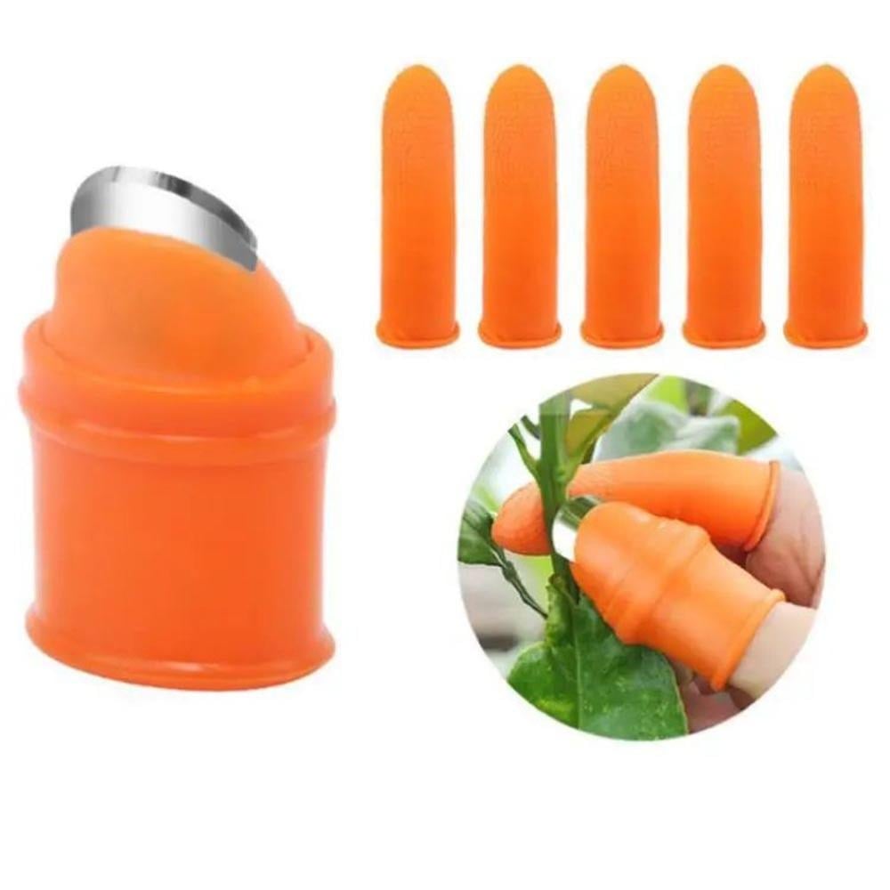 Picture of Vegetable And Fruits Thumb Cutter Finger cutter -1 Pcs