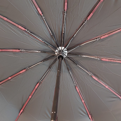Picture of Sankar BMW Windproof Umbrella Auto Open-Close 12 Ribs (Any Colour From Maroon, Black, Navy Blue, Green) - F-1007