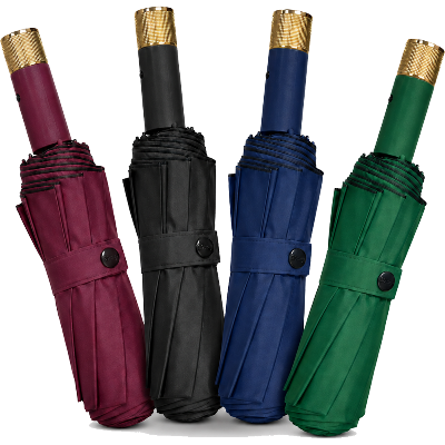 Picture of Sankar BMW Windproof Umbrella Auto Open-Close 12 Ribs (Any Colour From Maroon, Black, Navy Blue, Green) - F-1007