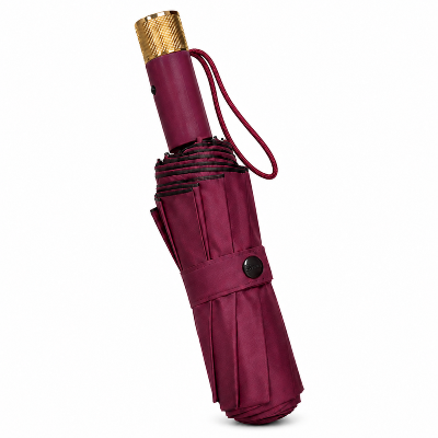 Picture of Sankar BMW Windproof Umbrella Auto Open-Close 12 Ribs (Any Colour From Maroon, Black, Navy Blue, Green) - F-1007