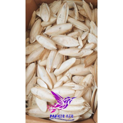 Picture of Cattle Fish boon (small) for Bird premium quality