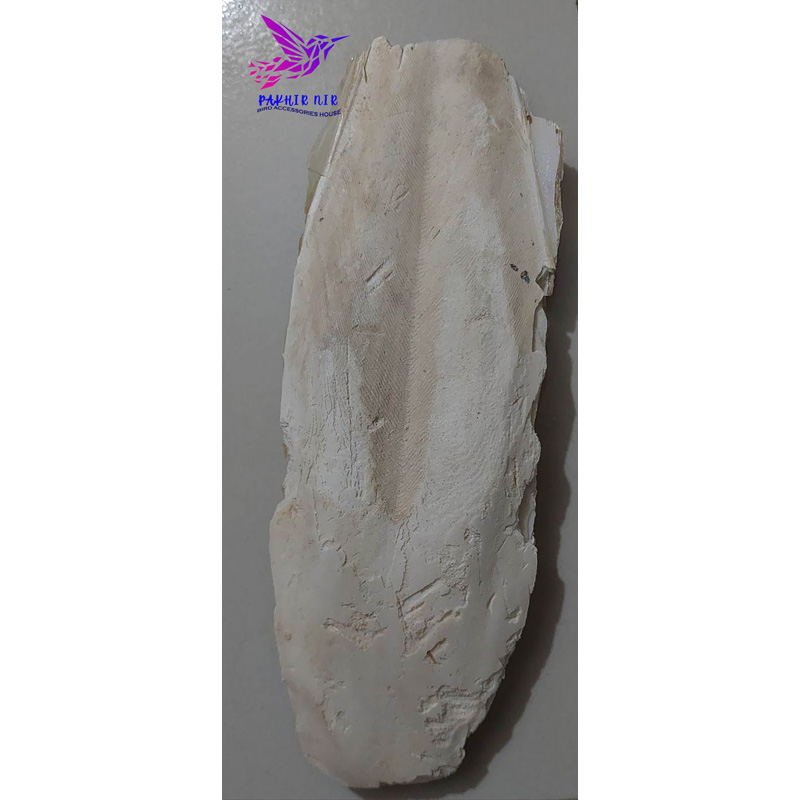 Picture of Cattle Fish Bone for all type  bird
