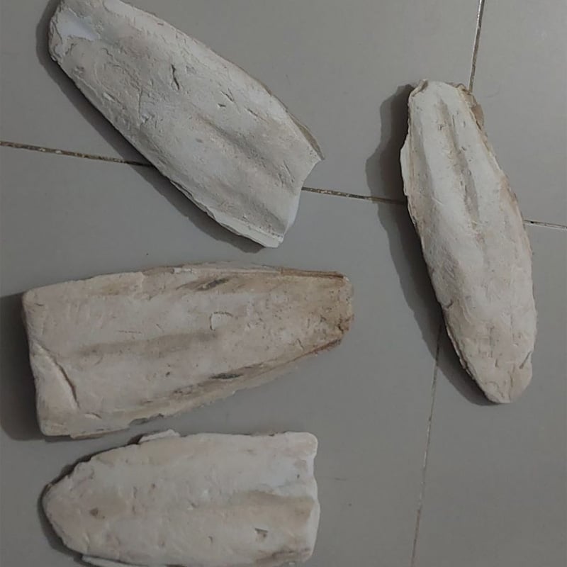 Picture of Cattle Fish Bone for all type  bird