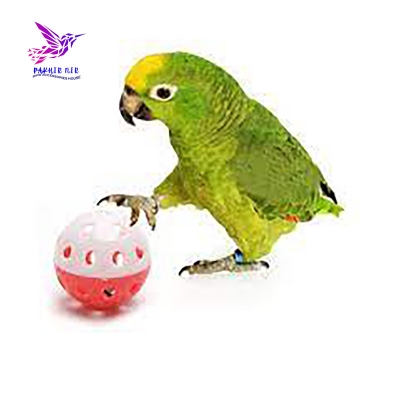 Picture of Cockatiel, Parrot, Love Birds Wood Toy