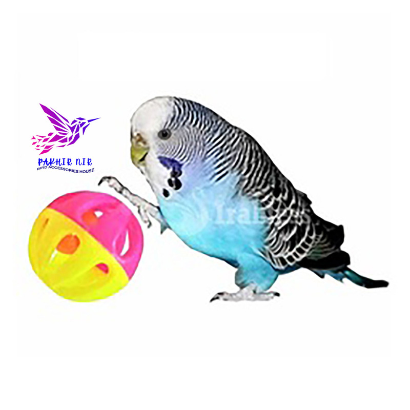 Picture of Cockatiel, Parrot, Love Birds Wood Toy