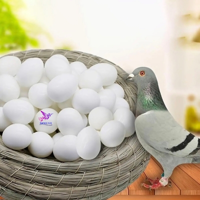 Picture of Pigeon Plastic Fake Eggs