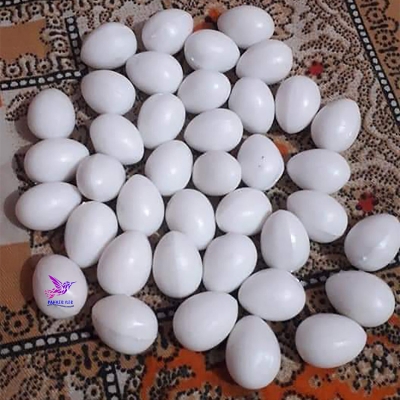 Picture of Pigeon Plastic Fake Eggs