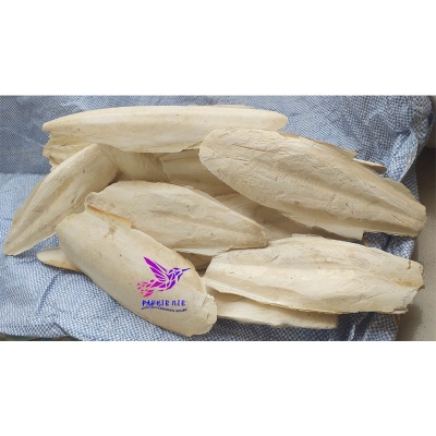 Picture of Cattle Fish Bone for all type  bird