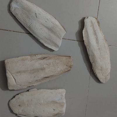 Picture of Cattle Fish Bone for all type  bird