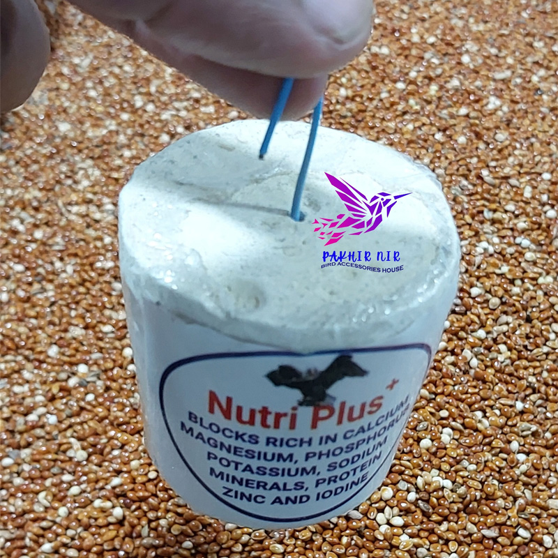 Picture of Nutri Plus Blocks for all type birds 2 pcs