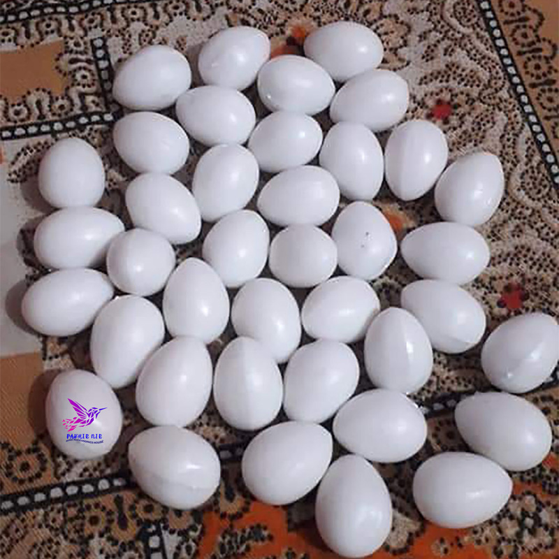 Picture of Pigeon Plastic Fake Eggs