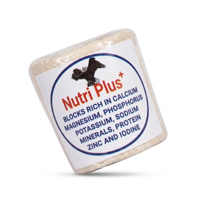 Picture of Nutri Plus Blocks for all type birds 2 pcs