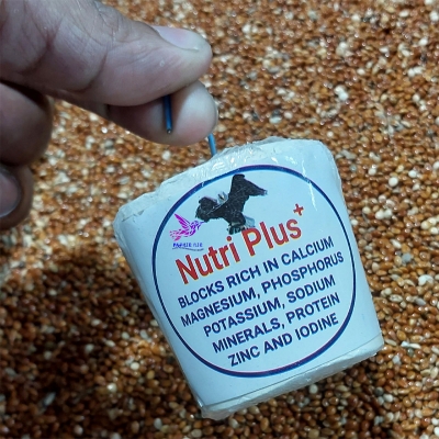 Picture of Nutri Plus Blocks for all type birds 2 pcs