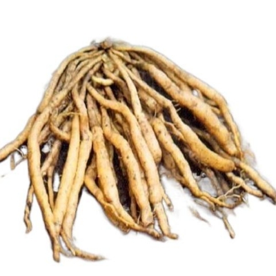 Picture of Shotomul Powder - 100 gm(Asparagus Powder)