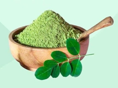 Picture of Sajna Patagmura - 150Gm Moringa Leaf Powder