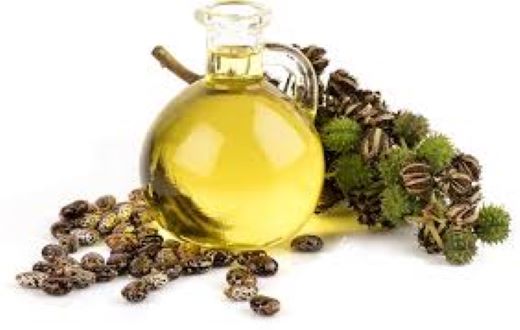 Picture of Organic Black Castor Oil 100 Ml