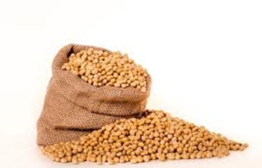 Picture of Soybean Seeds - 1 kg
