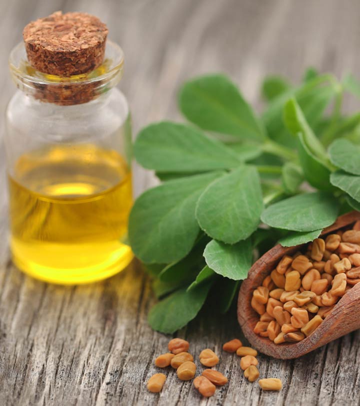 Picture of Fenugreek oil ( Methi tel )-100ml (Organic)