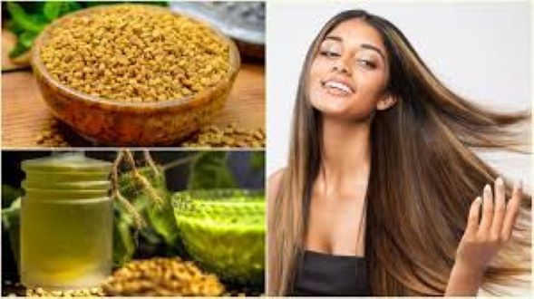 Picture of Fenugreek oil ( Methi tel )-100ml (Organic)